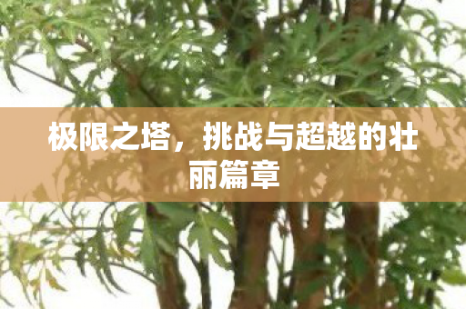 挑战与超越的壮丽篇章图片