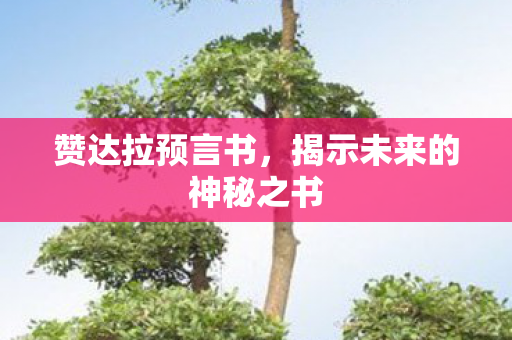 揭示未来的神秘之书图片