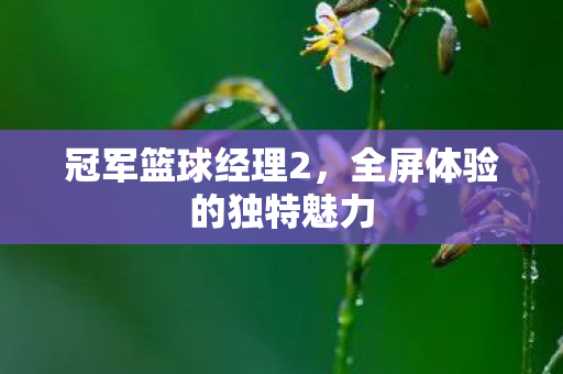 全屏体验的独特魅力图片