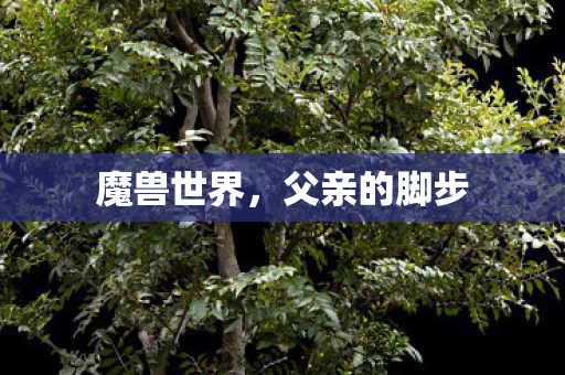 父亲的脚步图片