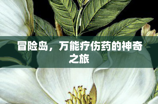 万能疗伤药的神奇之旅图片
