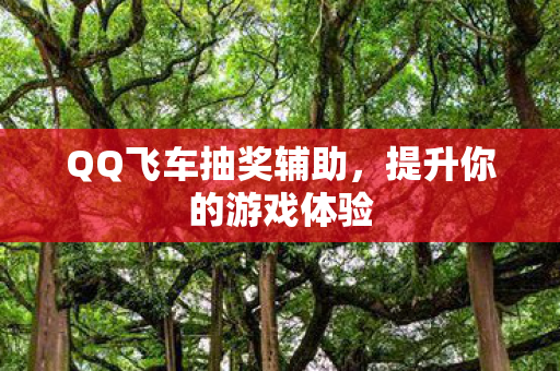 QQ飞车抽奖辅助图片