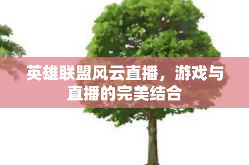 游戏与直播的完美结合图片