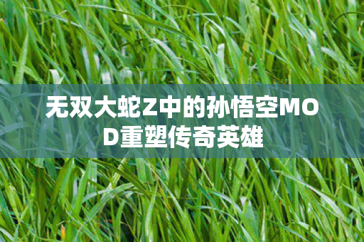 无双大蛇Z中的孙悟空MOD重塑传奇英雄图片