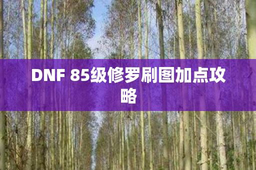 DNF 85级修罗刷图加点攻略图片
