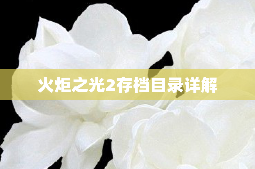火炬之光2存档目录详解图片
