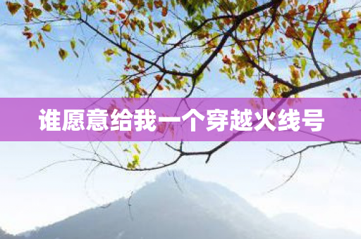 谁愿意给我一个穿越火线号图片