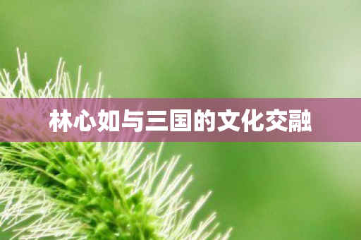 林心如与三国的文化交融图片
