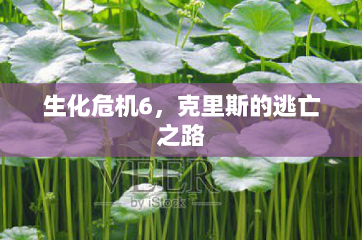 克里斯的逃亡之路图片