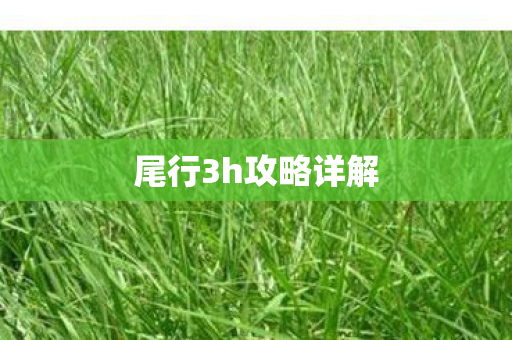 尾行3h攻略详解图片