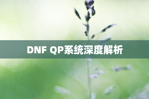 DNF QP系统深度解析图片