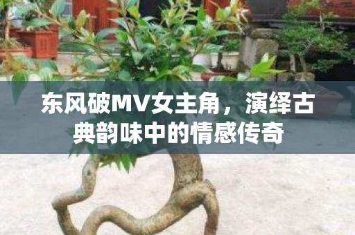 演绎古典韵味中的情感传奇图片