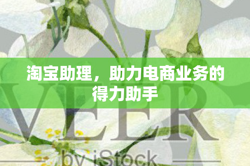 助力电商业务的得力助手图片