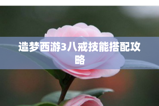 造梦西游3八戒技能搭配攻略图片