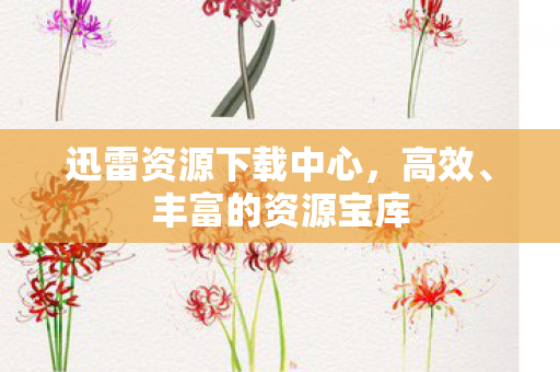 迅雷资源下载中心图片