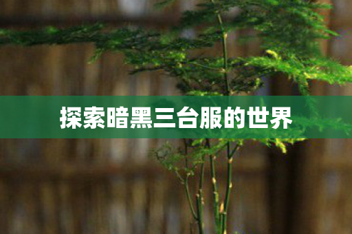 探索暗黑三台服的世界图片