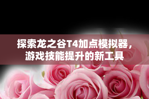 探索龙之谷T4加点模拟器图片