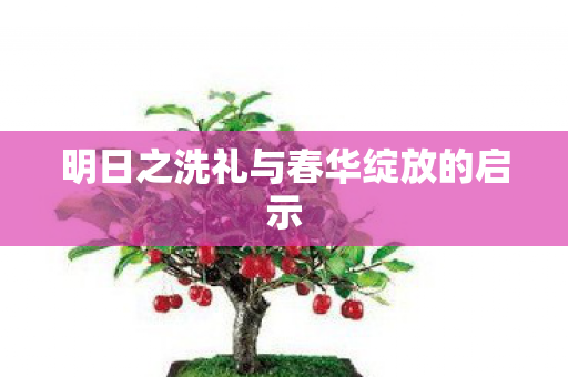 明日之洗礼与春华绽放的启示图片