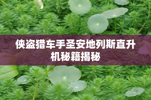 侠盗猎车手圣安地列斯直升机秘籍揭秘图片