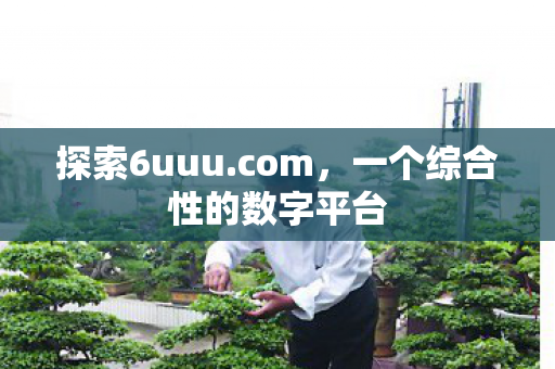 一个综合性的数字平台图片