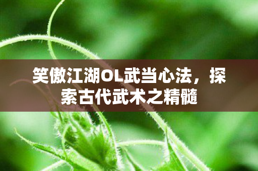 笑傲江湖OL武当心法图片