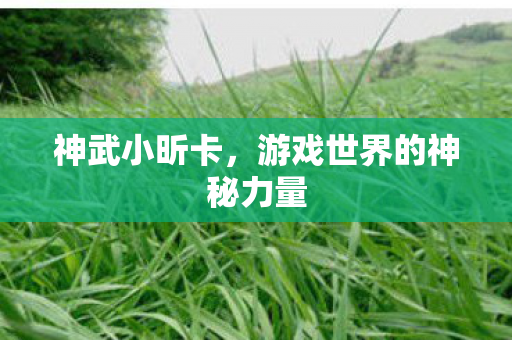 游戏世界的神秘力量图片