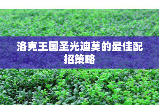 洛克王国圣光迪莫的最佳配招策略图片