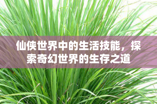 探索奇幻世界的生存之道图片