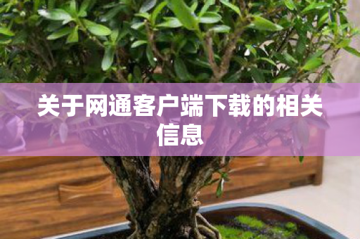 关于网通客户端下载的相关信息图片