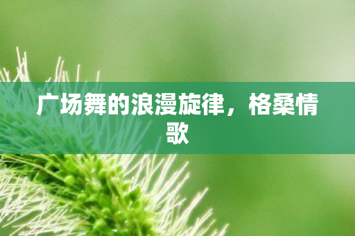广场舞的浪漫旋律图片