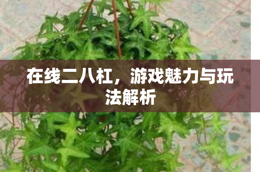 游戏魅力与玩法解析图片