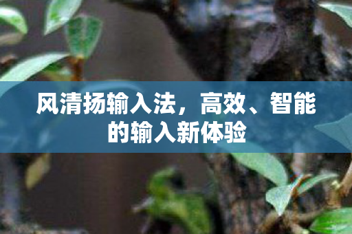 智能的输入新体验图片
