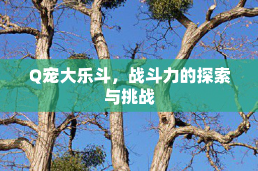 战斗力的探索与挑战图片