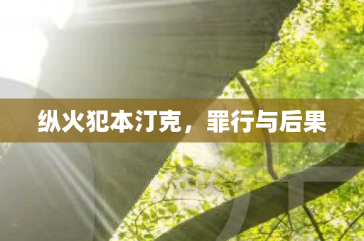 纵火犯本汀克图片