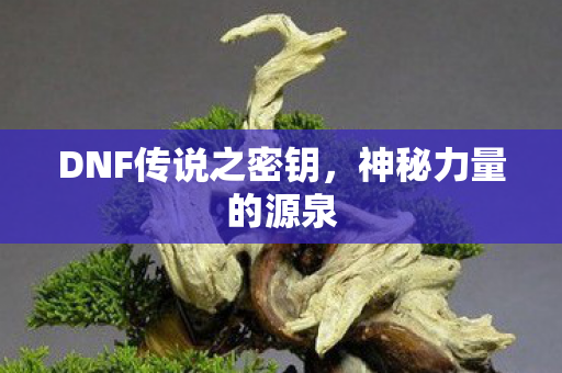 DNF传说之密钥图片