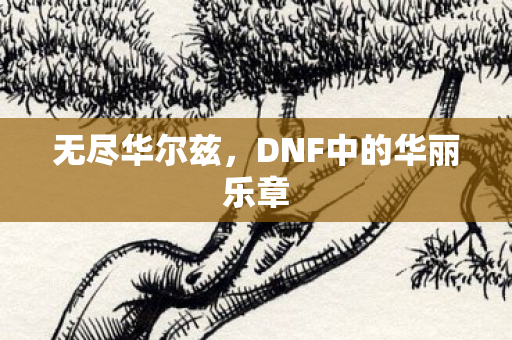 DNF中的华丽乐章图片
