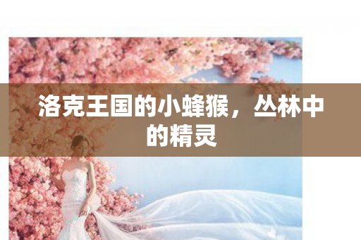 洛克王国的小蜂猴图片