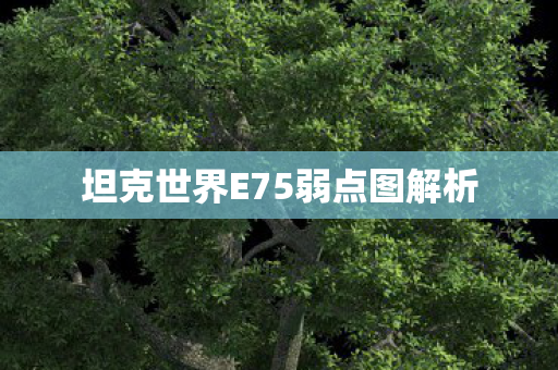 坦克世界E75弱点图解析图片