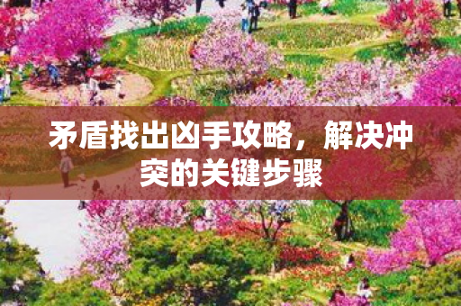 解决冲突的关键步骤图片