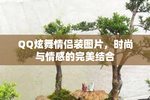 时尚与情感的完美结合图片