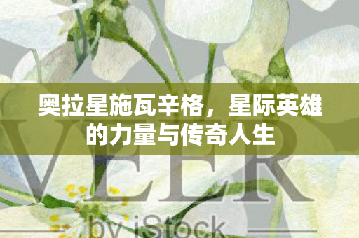星际英雄的力量与传奇人生图片