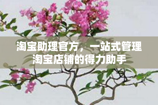 一站式管理淘宝店铺的得力助手图片