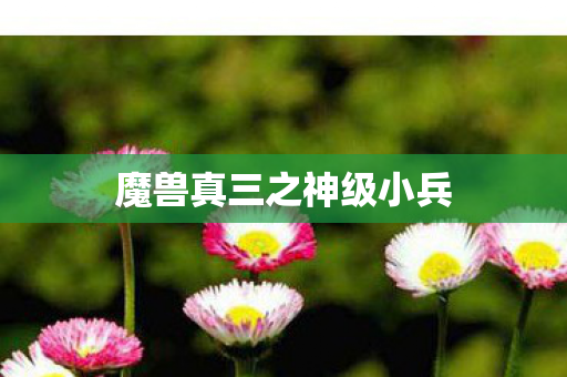 魔兽真三之神级小兵图片