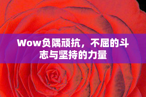 不屈的斗志与坚持的力量图片