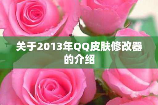 关于2013年QQ皮肤修改器的介绍图片