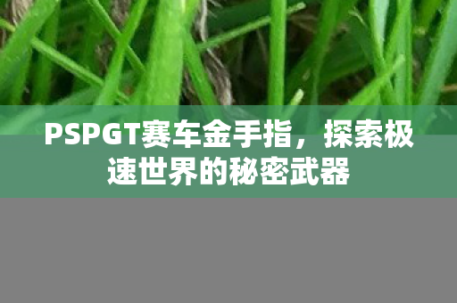 探索极速世界的秘密武器图片
