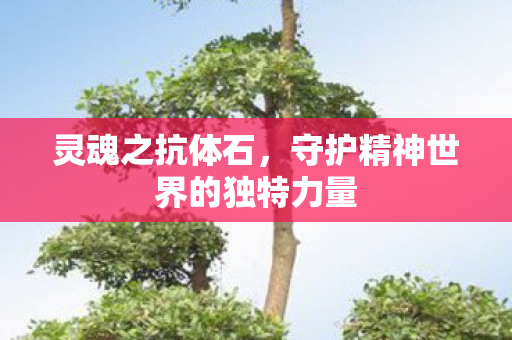 守护精神世界的独特力量图片