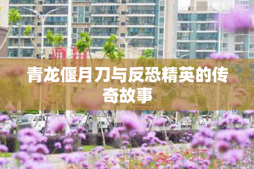 青龙偃月刀与反恐精英的传奇故事图片