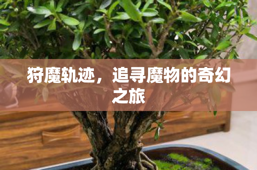 追寻魔物的奇幻之旅图片