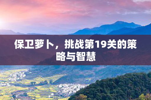 挑战第19关的策略与智慧图片
